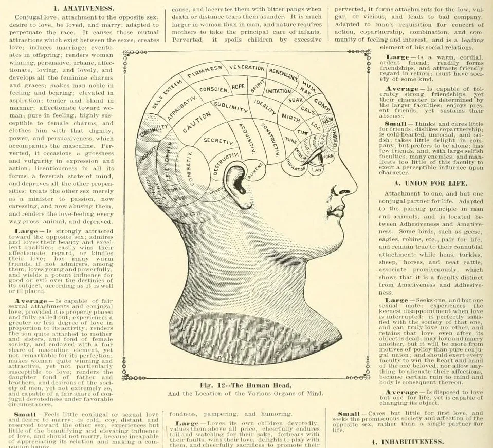 La Tête Humaine