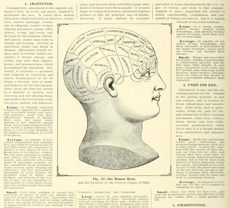 La Tête Humaine