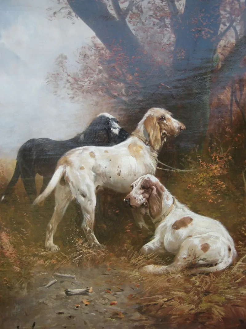 Schouten Chiens de chasse au repos