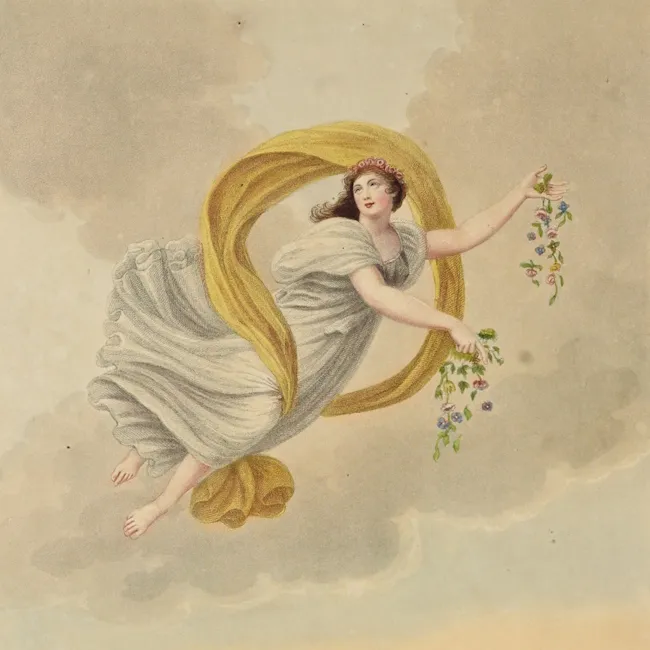 Représentation de Flore
